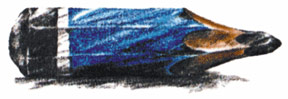 Billy Blue School of Graphic Arts
