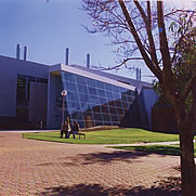 RMIT University