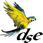 Dublin School of English