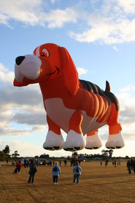���������� ����� ���������. ����� ��������, Wairarapa International Balloon Fiesta