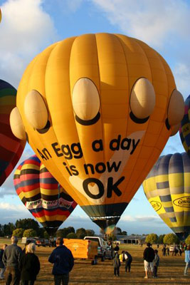 ���������� ����� ���������. ����� ��������, Wairarapa International Balloon Fiesta